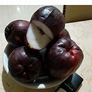 Jambu Jambu Bol